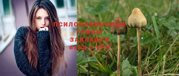 а пвп мука Богородицк