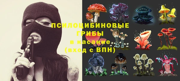 дмт Белокуриха