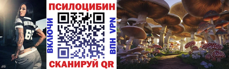 MEGA ССЫЛКА  Биробиджан  Псилоцибиновые грибы Psilocybe  продажа наркотиков 